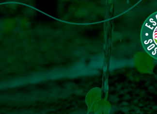 Día Mundial de la Ecología: Realizamos una nueva jornada de recolección RAEE