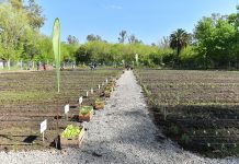 Sujarchuk recorrió la primera huerta orgánica municipal del distrito