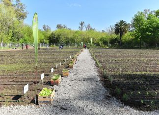 Sujarchuk recorrió la primera huerta orgánica municipal del distrito