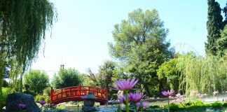 Turismo responsable y seguro: en el contexto de la pandemia, Escobar fue certificado con el sello mundial “Safe Travels”