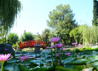 Turismo responsable y seguro: en el contexto de la pandemia, Escobar fue certificado con el sello mundial “Safe Travels”