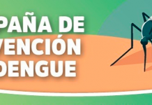 #DENGUE: Nueva jornada integral de descacharreo y limpieza para la prevención del mosquito Aedes Aegypti