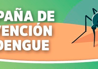 #DENGUE: Nueva jornada integral de descacharreo y limpieza para la prevención del mosquito Aedes Aegypti