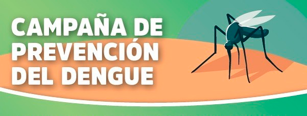 #DENGUE: Nueva jornada integral de descacharreo y limpieza para la prevención del mosquito Aedes Aegypti