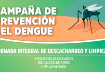 Dengue: Jornada integral de descacharreo y limpieza para la prevención del mosquito Aedes Aegypti