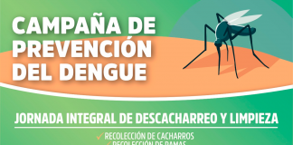 Dengue: Jornada integral de descacharreo y limpieza para la prevención del mosquito Aedes Aegypti