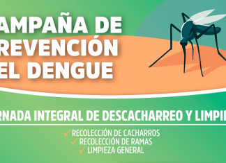 Dengue: Jornada integral de descacharreo y limpieza para la prevención del mosquito Aedes Aegypti