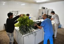 Escobar Sostenible: Cosecharon 600 kilos de alimentos agroecológicos que fueron donados a instituciones y merenderos del partido de Escobar