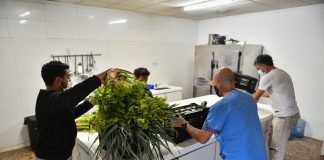 Escobar Sostenible: Cosecharon 600 kilos de alimentos agroecológicos que fueron donados a instituciones y merenderos del partido de Escobar