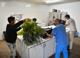 Escobar Sostenible: Cosecharon 600 kilos de alimentos agroecológicos que fueron donados a instituciones y merenderos del partido de Escobar