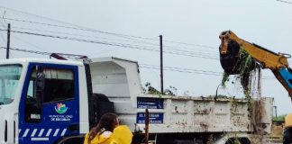 Temporal en la región: equipos municipales trabajan en las calles desde la madrugada para controlar la situación en todo el distrito