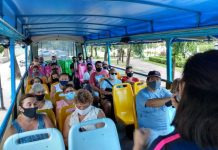 Con estrictos protocolos sanitarios, el regreso del Bus Turístico ofrece salidas guiadas al Paraná de las Palmas