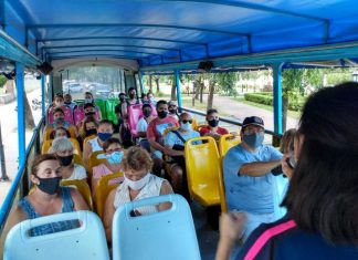 Con estrictos protocolos sanitarios, el regreso del Bus Turístico ofrece salidas guiadas al Paraná de las Palmas