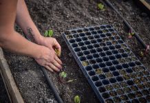 La agroecología avanza en Escobar como una forma sustentable de generar alimentos sanos