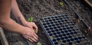 La agroecología avanza en Escobar como una forma sustentable de generar alimentos sanos