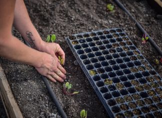 La agroecología avanza en Escobar como una forma sustentable de generar alimentos sanos