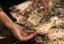 El Municipio entregó más de 10.000 kit de semillas de verduras y hortalizas y 90.000 semillas aromáticas