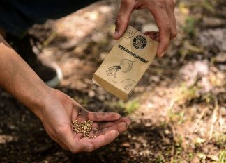 El Municipio entregó más de 10.000 kit de semillas de verduras y hortalizas y 90.000 semillas aromáticas