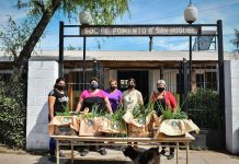 La huerta agroecológica municipal ya cosechó 2.500 kilos de alimentos saludables