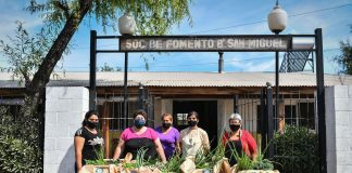 La huerta agroecológica municipal ya cosechó 2.500 kilos de alimentos saludables