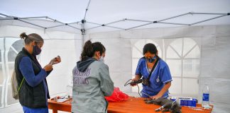 En los últimas días el equipo del quirófano móvil asistió a casi 200 animales