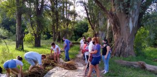 Ingeniero Maschwitz: convocan a voluntarios y voluntarias para cuidar la Reserva Natural Educativa