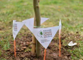 24 de marzo: Escobar se sumó a la campaña nacional “Plantamos Memoria”