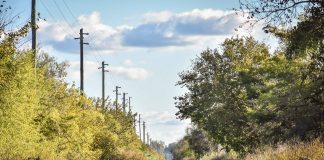 Ruta Provincial N° 25: se realizó la licitación de esta obra histórica para el partido