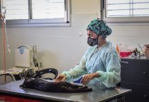 Zoonosis: estudiantes realizarán Prácticas Profesionales Supervisadas en el Hospital Municipal