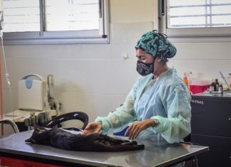 Zoonosis: estudiantes realizarán Prácticas Profesionales Supervisadas en el Hospital Municipal