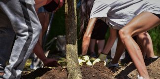 Escobar lanza una nueva campaña en el marco del Plan de Arbolado Urbano “Plantando Conciencia”