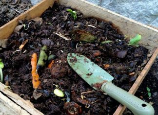 Con diversas actividades, Escobar adhiere al Mes del Compostaje