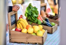 Escobar implementará un Mercado Federal Ambulante