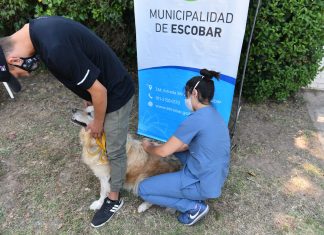 Más de 1300 mascotas ya recibieron la vacuna antirrábica