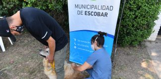 Inicia la campaña anual de vacunación antirrábica para mascotas en Escobar