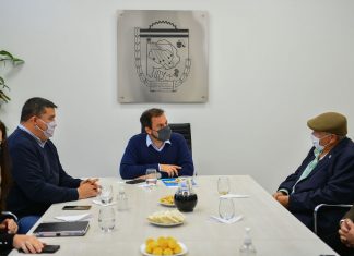 Ariel Sujarchuk promulgó la ordenanza para la construcción del primer parque solar en el distrito