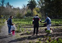 Lanzan campaña para fortalecer el programa Escobar Hambre Cero desde la huerta agroecológica