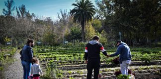 Lanzan campaña para fortalecer el programa Escobar Hambre Cero desde la huerta agroecológica
