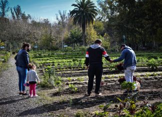 Lanzan campaña para fortalecer el programa Escobar Hambre Cero desde la huerta agroecológica