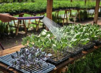 Abrió la preinscripción para los talleres de la Facultad de Agronomía que se dictan en el PES