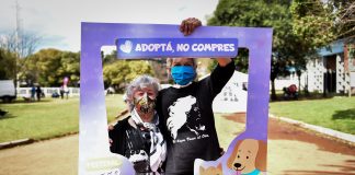 El Festival Escomascotero fue todo un éxito