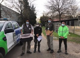 Tráfico ilegal de especies: rescatan a un mono caí