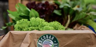 La Expo Escobar contará con espacios exclusivos de debates y políticas sostenibles