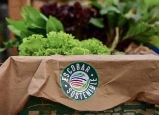 La Expo Escobar contará con espacios exclusivos de debates y políticas sostenibles