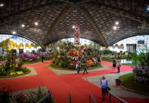 Últimos días para inscribirse como aspirante a embajador y embajadora Nacional de la Flor