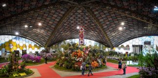 Últimos días para inscribirse como aspirante a embajador y embajadora Nacional de la Flor