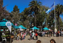 Se aproxima una nueva edición de la Semana de la Educación