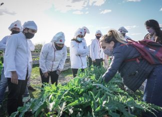 Avanza la implementación del programa “Más Trabajo, Menos Reincidencia”