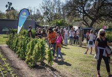 Más de 120 inscriptos participaron de una visita guiada por el biocorredor de Ingeniero Maschwitz