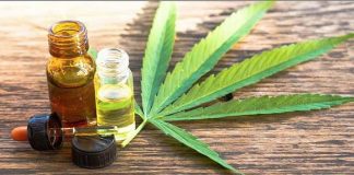 Llevarán a cabo estudios e investigaciones sobre el uso medicinal del cannabis